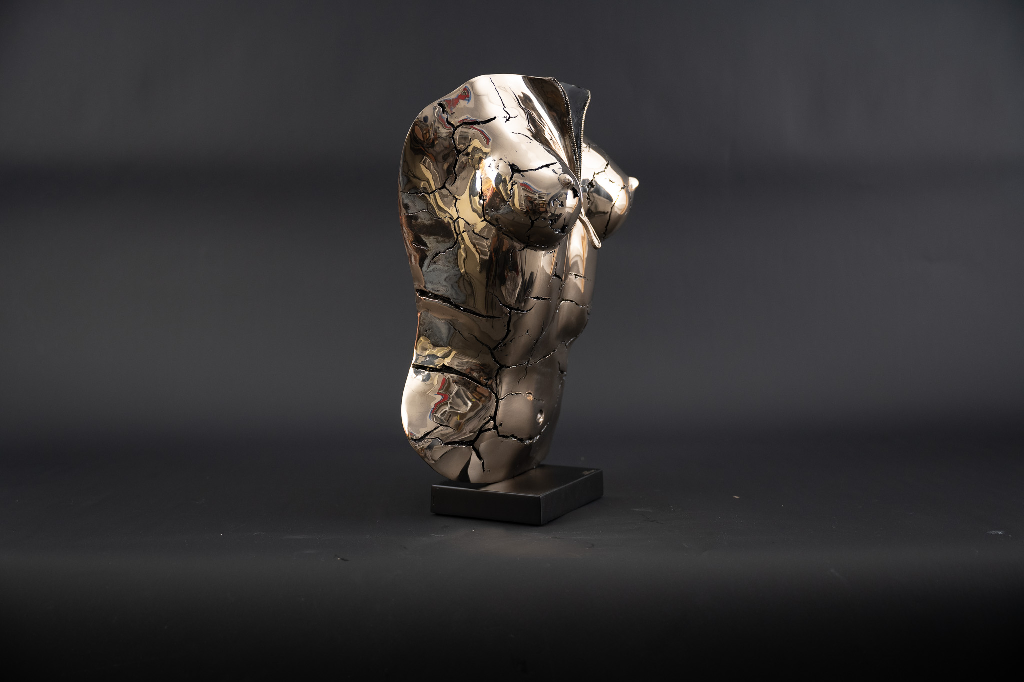 Cropped Faux leather Jacket