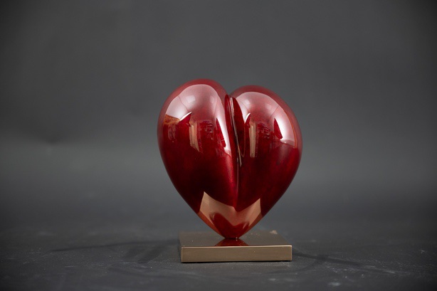 Cropped Faux leather Jacket