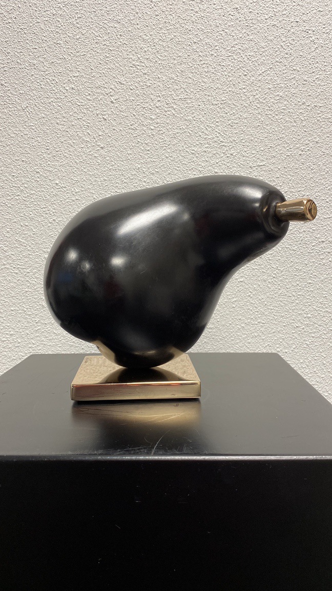 Cropped Faux leather Jacket