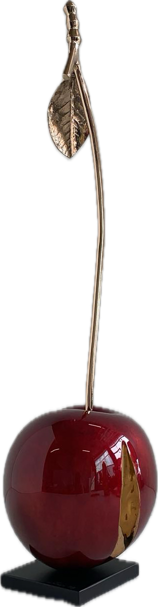 Cropped Faux leather Jacket