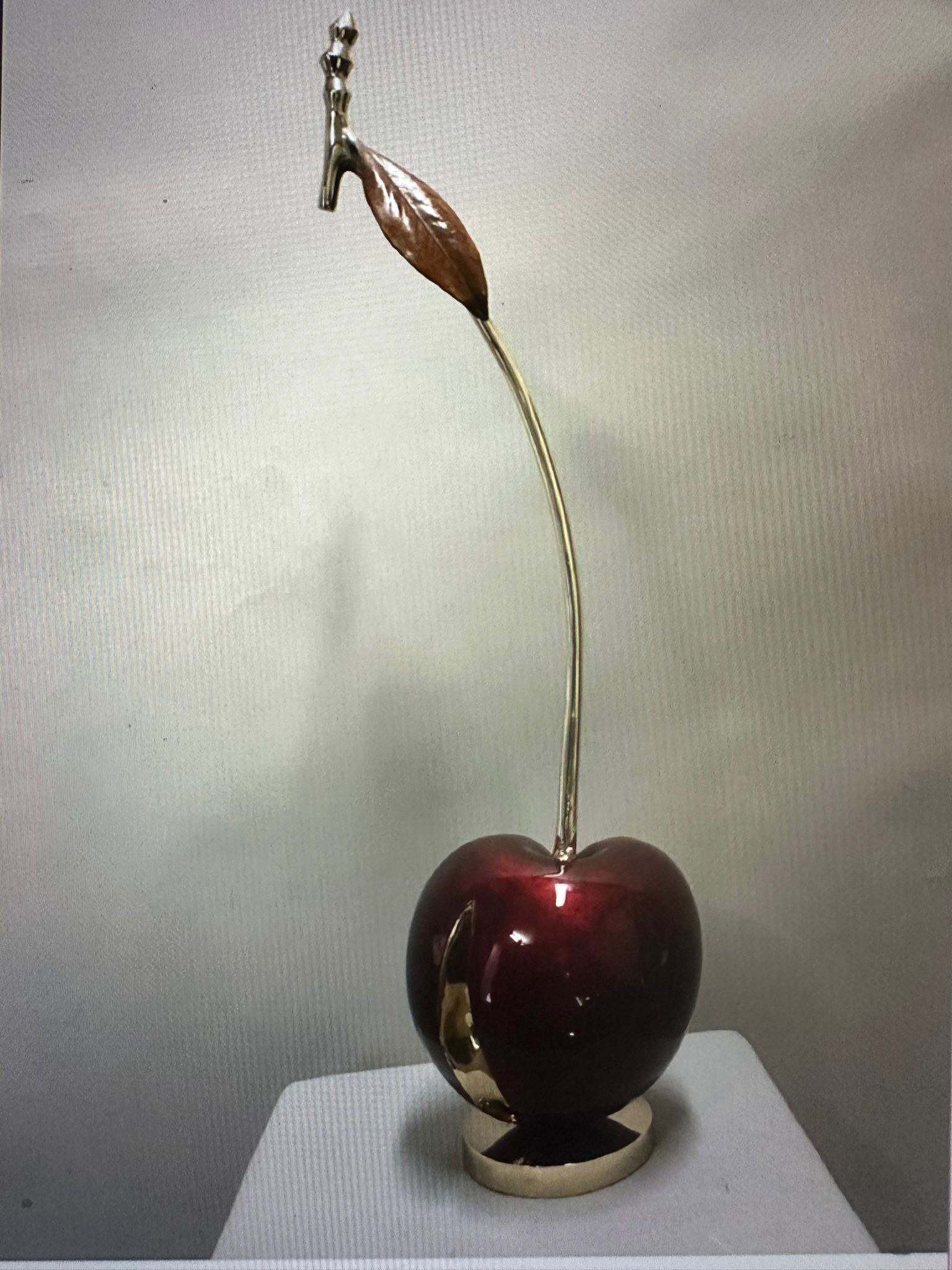 Cropped Faux leather Jacket