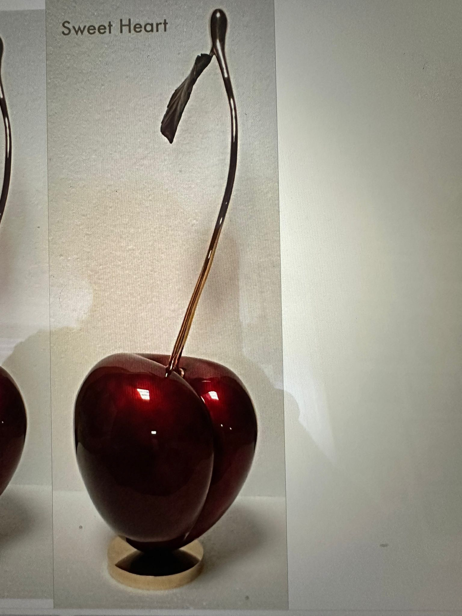 Cropped Faux leather Jacket