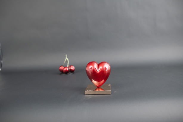 Cropped Faux leather Jacket