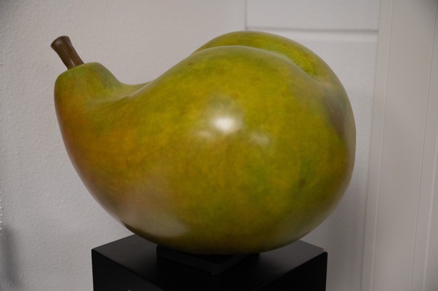 Cropped Faux leather Jacket