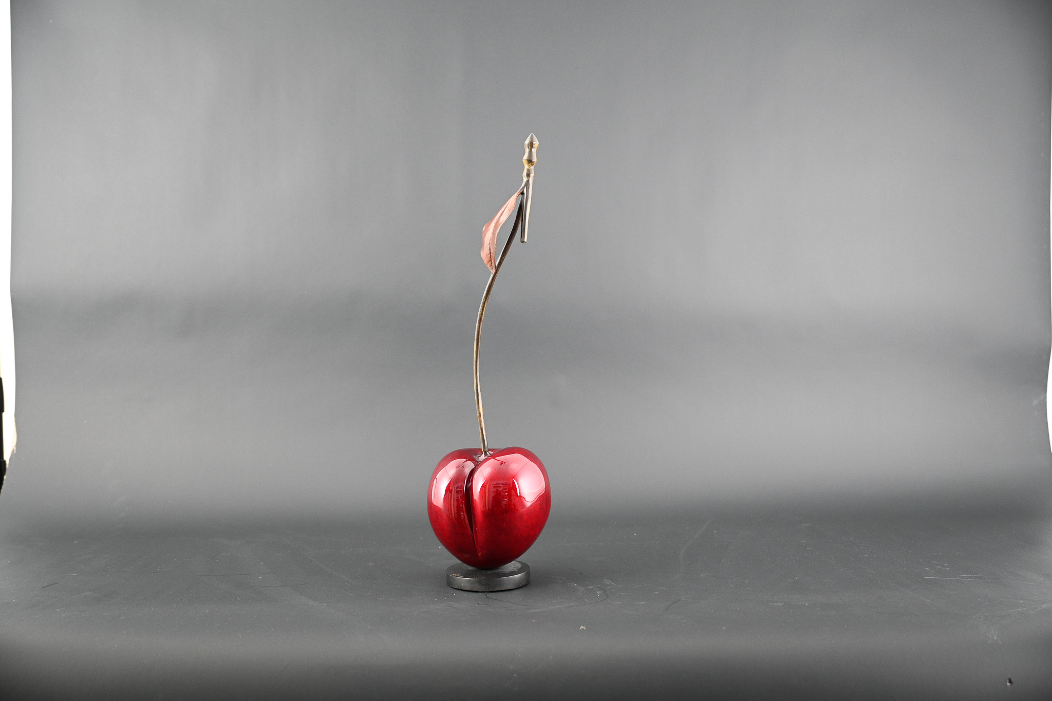 Cropped Faux leather Jacket