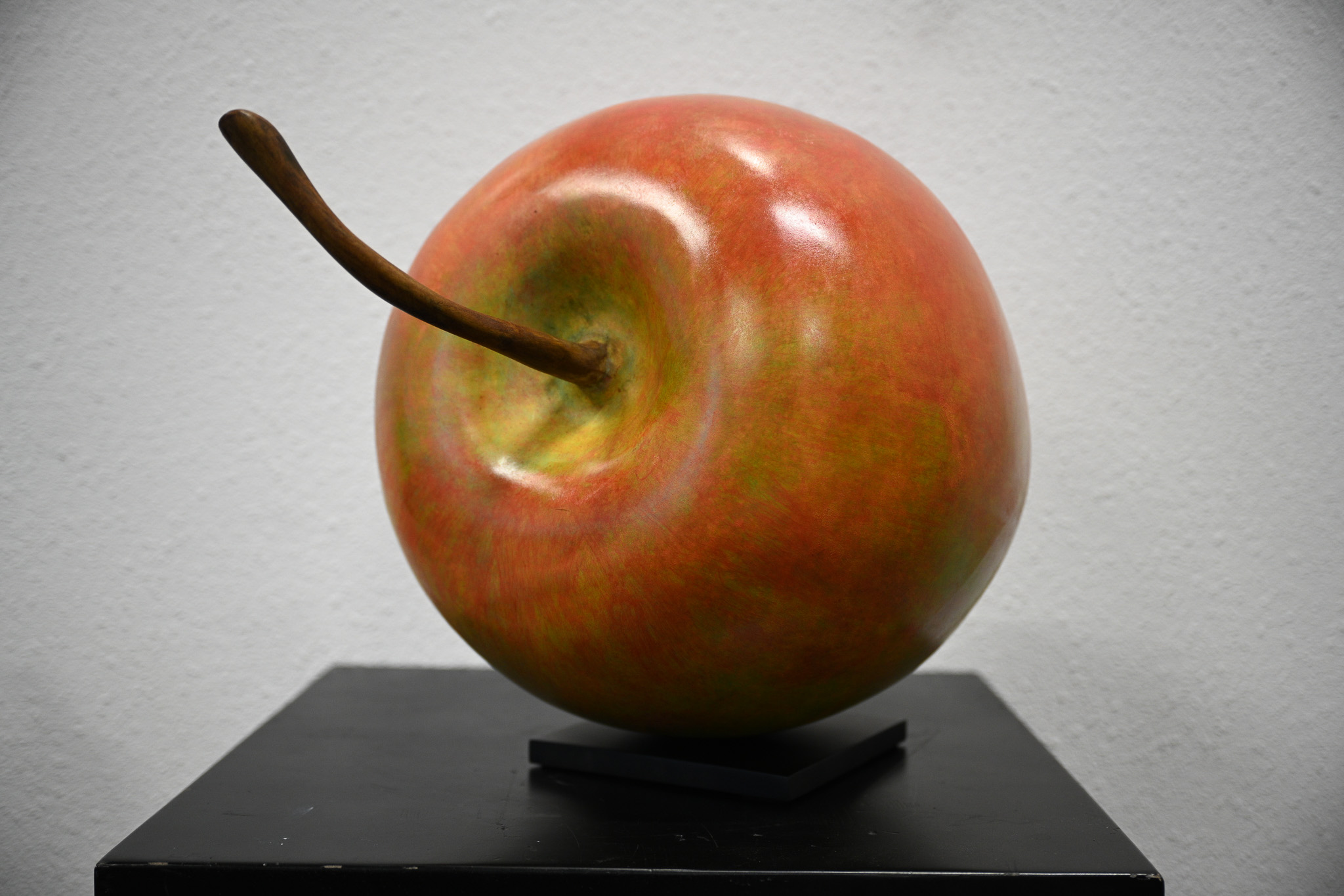 Cropped Faux leather Jacket